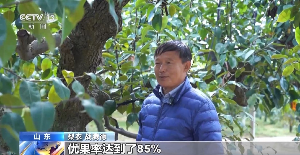 全國秋糧已收獲77% 冬小麥冬油菜播種有序推進(jìn)