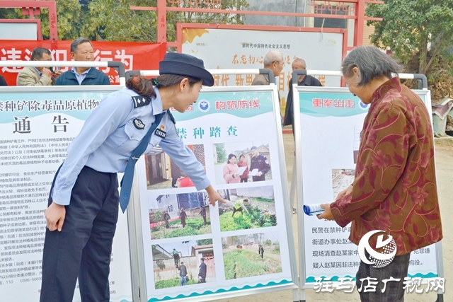 平輿：金秋農(nóng)忙豐收季 禁種宣傳到地頭