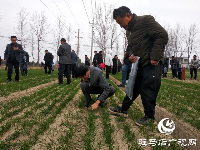 正陽縣持續(xù)開展高素質農(nóng)民培育實踐教學活動