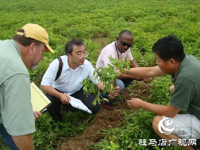 駐馬店：匯聚四方英才 鍛造澎湃力量