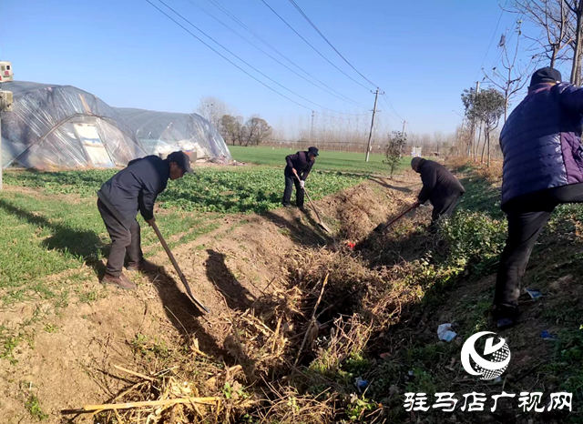 西平縣宋集鎮(zhèn)：轄區(qū)環(huán)境大清潔 創(chuàng)建生態(tài)宜居星