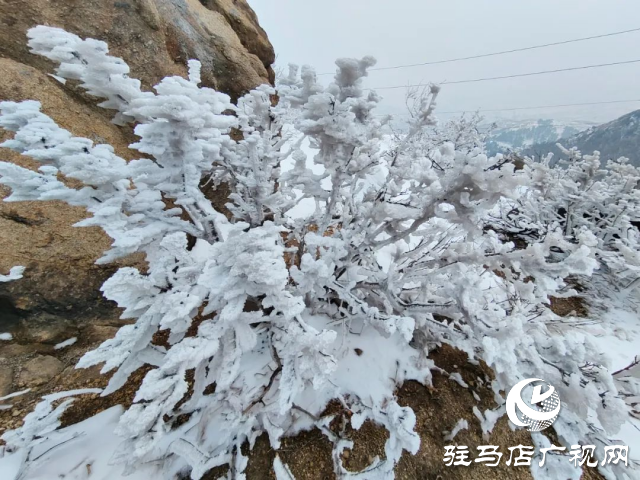 美呆了！羅漢山開啟雪凇、霧凇雙景齊現(xiàn)模式