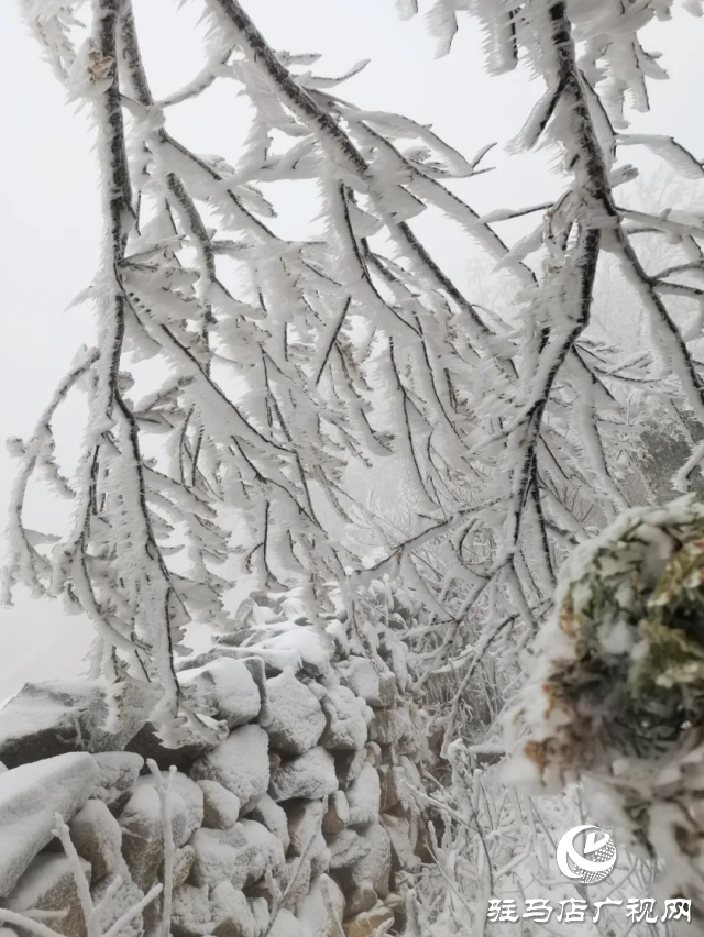 美呆了！羅漢山開啟雪凇、霧凇雙景齊現(xiàn)模式