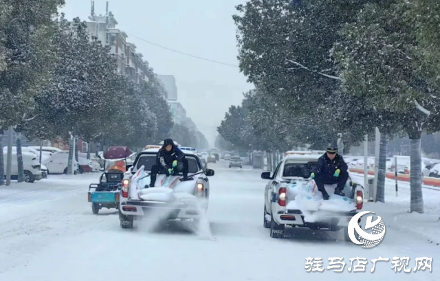 確山：與暴風(fēng)雪賽跑