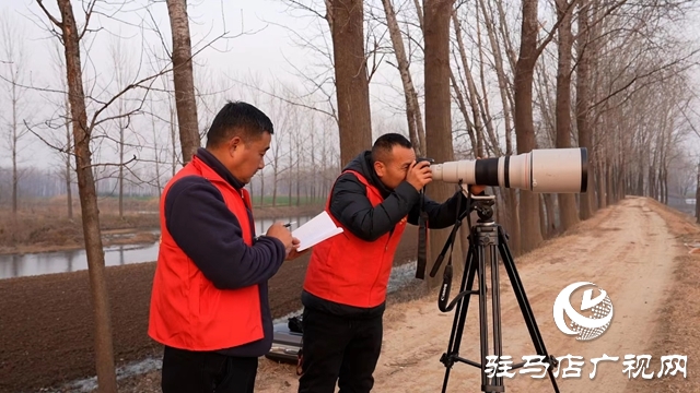 寒冬，他們在宿鴨湖濕地守護候鳥