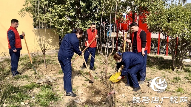  攜手植綠護綠 共建美好家園