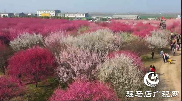 春日好時(shí)光 戶外樂趣多