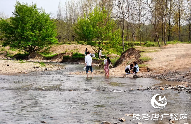 賞雞山大橋美景 別忘文明同行