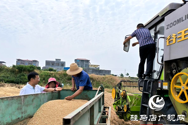 泌陽(yáng)縣王店鎮(zhèn)：全力抓好“三夏”生產(chǎn) 確保夏糧豐產(chǎn)豐收