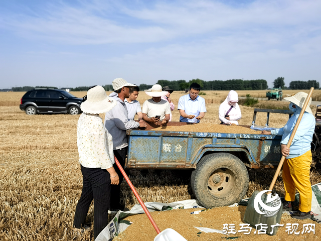 平輿縣陽(yáng)城鎮(zhèn)：助力農(nóng)機(jī)辦實(shí)事 添足馬力助夏收