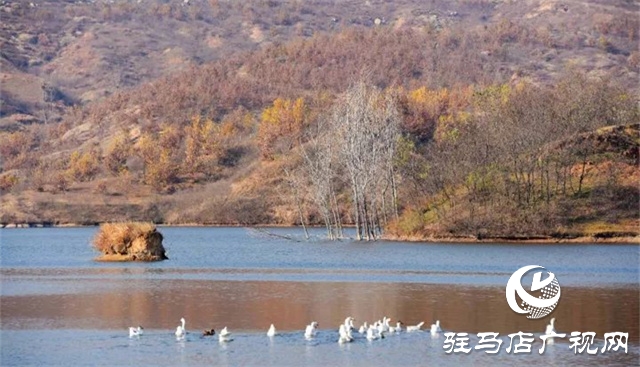 泌陽：帶你領(lǐng)略不一樣的風景