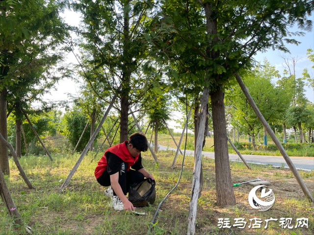 駐馬店職業(yè)技術(shù)學(xué)院組織志愿者走進(jìn)人民公園清撿垃圾