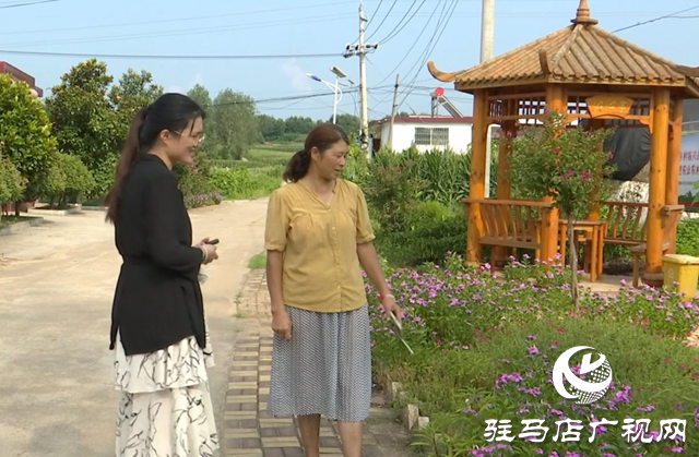 驛城區(qū)老關(guān)莊村：繪就美麗宜居新畫卷