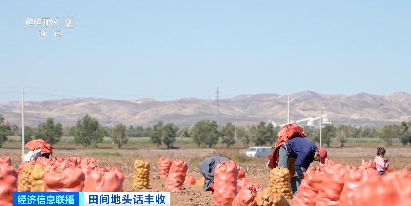 航空育種土豆即將收獲 探訪最新生長情況→