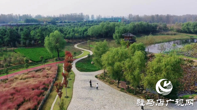 泌陽漢風公園，秋日里的粉色夢境