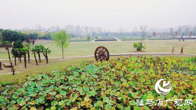 泌陽漢風公園，秋日里的粉色夢境