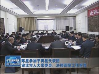 陳星參加平輿代表團(tuán)審議市人大常委會、法檢兩院工作報(bào)告（視頻）